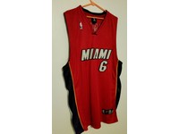 real lebron james jersey